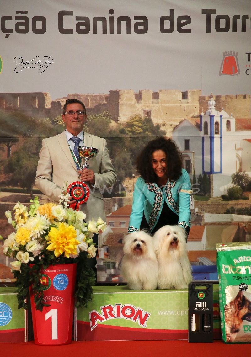Ulrik y MiuMiu, Best in Show Parejas