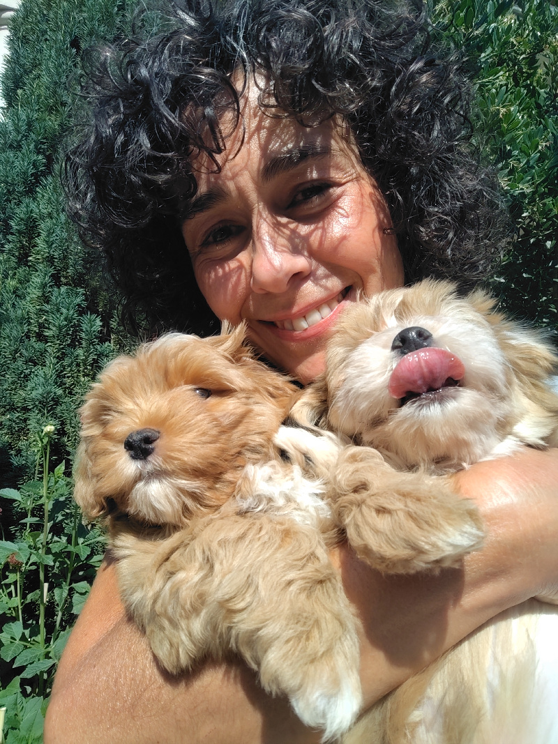 Cada camada es única. No importa los años que lleve criando, el momento en el que abro los ojos por la mañana y escucho sus pequeños ruiditos sigue siendo igual de mágico.

En apenas unas semanas pasan de depender totalmente de la madre, a dar sus primeros pasos inseguros, a probar un trocito de pienso blando o a mirarte con esos ojitos que parecen preguntar “¿y ahora qué sigue?”.

Y en medio de todo ese proceso, lo que más me maravilla es cómo cada cachorro va mostrando su propia personalidad. El valiente que siempre va primero, el observador que se queda mirando antes de decidir, la pequeña princesa que conquista con una sola mirada.

Criar no es simplemente “tener cachorros”. Es dedicar tiempo, amor y paciencia para que crezcan sanos, seguros y felices. Y, aunque cada despedida duele un poco, también es un regalo saber que detrás de cada cachorro hay una familia esperando con ilusión, preparada para darle todo el cariño que merece.

Porque al final, eso es lo que mueve mi trabajo: ver cómo la alegría que nace aquí, en un rincón lleno de patitas y mimos, se multiplica en hogares que se llenan de vida.